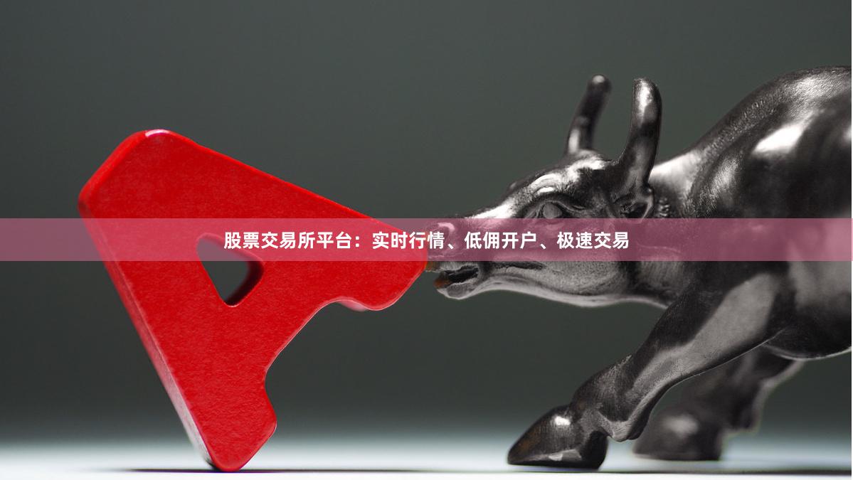 股票交易所平台:实时行情、低佣开户、极速交易