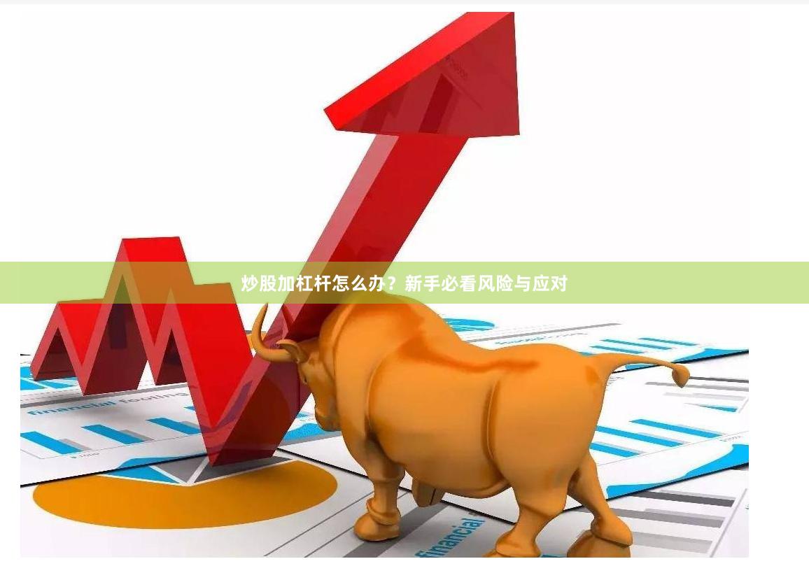 炒股加杠杆怎么办？新手必看风险与应对